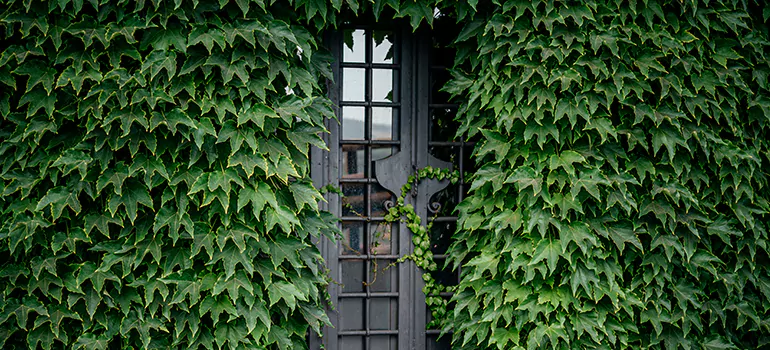 Garden Gate Repair in Richmond, CA