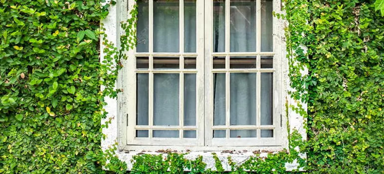 Garden Window Repair Near Me in Richmond, CA